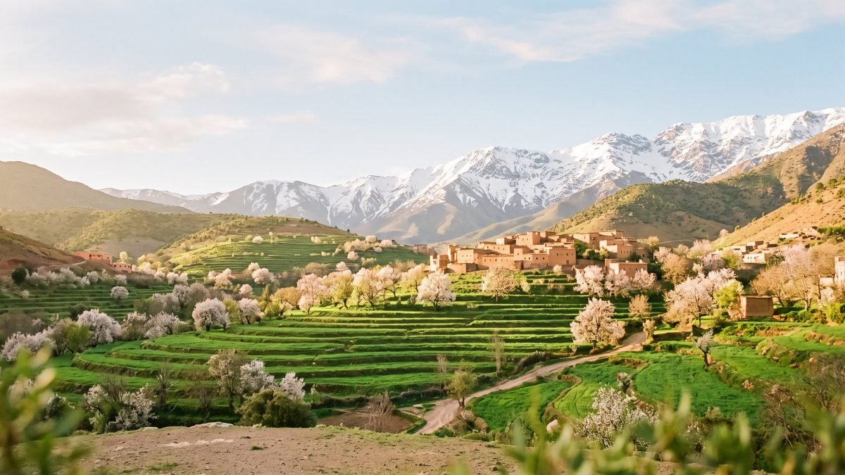 High Atlas valley in spring with green terraces and snow-capped peaks