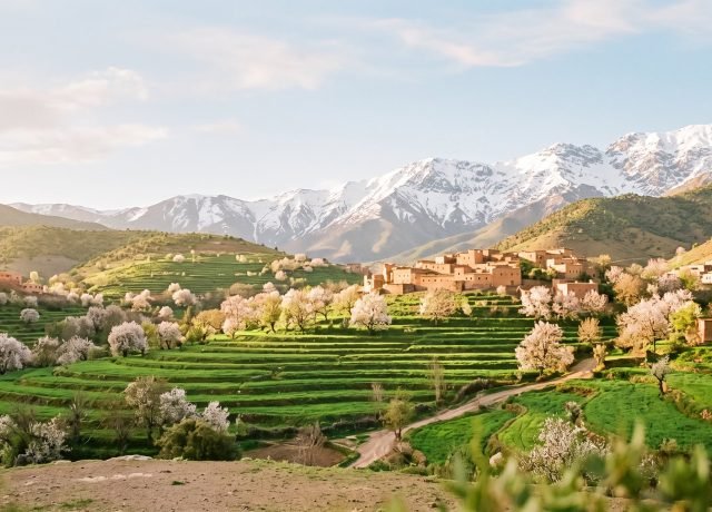 High Atlas valley in spring with green terraces and snow-capped peaks